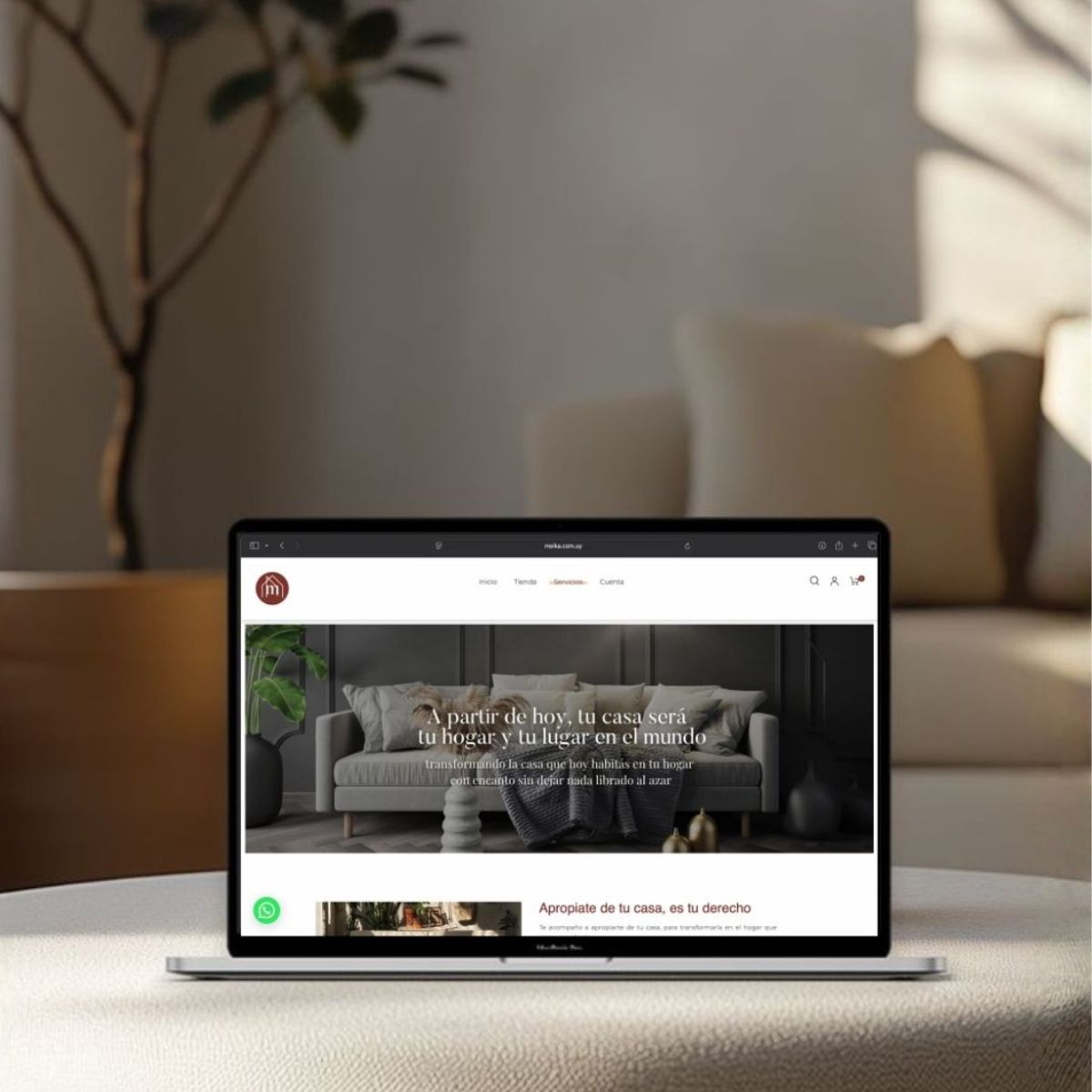 Estudio de diseño web, trabajo de eccommerce, diseño web para Moika en Montevideo, Uruguay